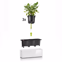 LECHUZA CUBE Intérieure Kit de plantation en pot Autonome Polypropylène (PP) Graphite