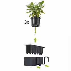 LECHUZA Cube Color Triple Intérieure Jardinière Support Polypropylène (PP) Blanc