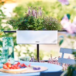 LECHUZA Cube Color Triple Intérieure Jardinière Support Polypropylène (PP) Blanc - Vue supplémentaire 8