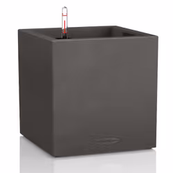 LECHUZA CANTO, Jardinière, Autonome, Plastique, Noir, Graphite, Carré, Intérieur & extérieur