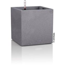 LECHUZA Canto Stone 40 low Intérieur & extérieur Jardinière Autonome Polypropylène (PP) Gris