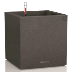 LECHUZA Canto Stone 40 low Intérieur & extérieur Jardinière Autonome Polypropylène (PP) Noir, Graphite