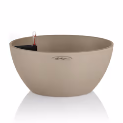 LECHUZA CUBETO, Kit de plantation en pot, Autonome, Polypropylène (PP), Beige, Rond, Intérieur & extérieur