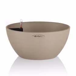 LECHUZA CUBETO, Kit de plantation en pot, Autonome, Polypropylène (PP), Marron, Sable, Rond, Intérieur & extérieur