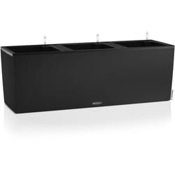 Jardinière LECHUZA Trio Stone 30 - kit complet noir graphite - auto-arrosage - 100 x 325 x 345 cm