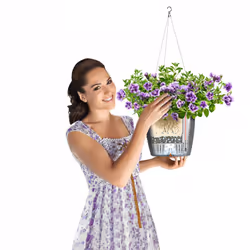 LECHUZA NIDO Cottage All-in-One Set Intérieur & extérieur Panier suspendu pour plantes Support Polypropylène (PP) Blanc - Vue supplémentaire 11