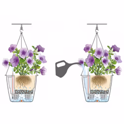 LECHUZA NIDO Cottage All-in-One Set Intérieur & extérieur Panier suspendu pour plantes Support Polypropylène (PP) Blanc - Vue supplémentaire 12