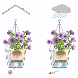 LECHUZA NIDO Cottage All-in-One Set Intérieur & extérieur Panier suspendu pour plantes Support Polypropylène (PP) Blanc - Vue supplémentaire 13