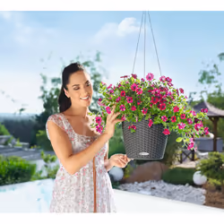 LECHUZA NIDO Cottage All-in-One Set Intérieur & extérieur Panier suspendu pour plantes Support Polypropylène (PP) Blanc - Vue supplémentaire 5