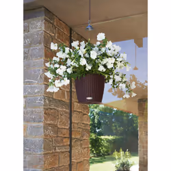 LECHUZA NIDO Cottage All-in-One Set Intérieur & extérieur Panier suspendu pour plantes Support Polypropylène (PP) Blanc - Vue supplémentaire 7