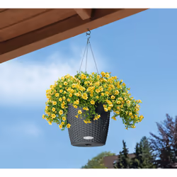 LECHUZA NIDO Cottage All-in-One Set Intérieur & extérieur Panier suspendu pour plantes Support Polypropylène (PP) Blanc - Vue supplémentaire 8