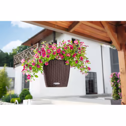 LECHUZA NIDO Cottage All-in-One Set Intérieur & extérieur Panier suspendu pour plantes Support Polypropylène (PP) Blanc - Vue supplémentaire 9