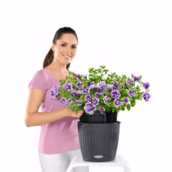 LECHUZA NIDO Cottage All-in-One Set Panier suspendu pour plantes Support Polypropylène (PP) Marron