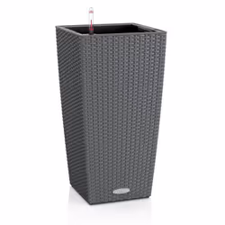 LECHUZA CUBICO Cottage 30 All-in-One Set, Kit de plantation en pot, Autonome, Polypropylène (PP), Gris, Intérieur &amp; extér ...