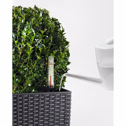 LECHUZA CUBICO Cottage 30 All-in-One Set Kit de plantation en pot Autonome Polypropylène (PP) Blanc - Vue supplémentaire 11