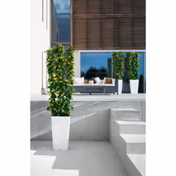 LECHUZA CUBICO Cottage 30 All-in-One Set Kit de plantation en pot Autonome Polypropylène (PP) Blanc - Vue supplémentaire 5