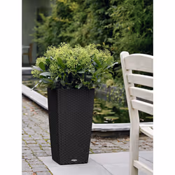 LECHUZA CUBICO Cottage 30 All-in-One Set Kit de plantation en pot Autonome Polypropylène (PP) Blanc - Vue supplémentaire 6