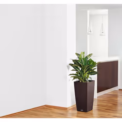 LECHUZA CUBICO Cottage 30 All-in-One Set Kit de plantation en pot Autonome Polypropylène (PP) Blanc - Vue supplémentaire 7