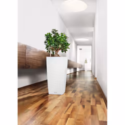 LECHUZA CUBICO Cottage 30 All-in-One Set Kit de plantation en pot Autonome Polypropylène (PP) Blanc - Vue supplémentaire 8