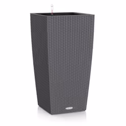 LECHUZA CUBICO Cottage 40 All-in-One Set, Kit de plantation en pot, Autonome, Polypropylène (PP), Gris, Intérieur &amp; extér ...