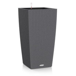 LECHUZA CUBICO Cottage 40 All-in-One Set Intérieur & extérieur Kit de plantation en pot Autonome Polypropylène (PP) Gris