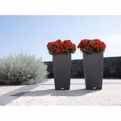 LECHUZA CUBICO Cottage 40 All-in-One Set Intérieur & extérieur Kit de plantation en pot Autonome Polypropylène (PP) Gris - Vue supplémentaire 5