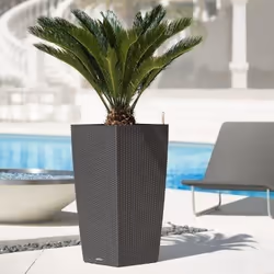 Pot de fleur LECHUZA Cubico Cottage 40 - kit complet moka