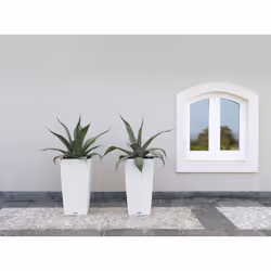 LECHUZA CUBICO Cottage 40 All-in-One Set Intérieur & extérieur Kit de plantation en pot Autonome Polypropylène (PP) Blanc - Vue supplémentaire 6