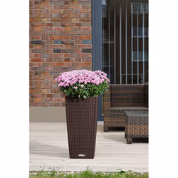 LECHUZA CUBICO Cottage 40 All-in-One Set Intérieur & extérieur Kit de plantation en pot Autonome Polypropylène (PP) Blanc - Vue supplémentaire 8