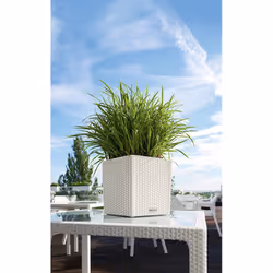 LECHUZA CUBE Cottage 30 All-in-One Set Intérieur & extérieur Kit de plantation en pot Autonome Polypropylène (PP) Marron - Vue supplémentaire 7