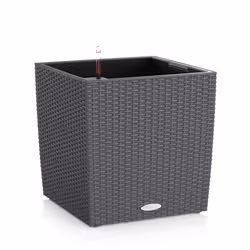 LECHUZA CUBE Cottage 40 All-in-One Set, Kit de plantation en pot, Autonome, Polypropylène (PP), Gris, Intérieur & extérieur,  ...