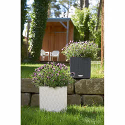 LECHUZA CUBE Cottage 40 All-in-One Set Intérieur & extérieur Kit de plantation en pot Autonome Polypropylène (PP) Gris