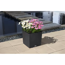 LECHUZA CUBE Cottage 40 All-in-One Set Intérieur & extérieur Kit de plantation en pot Autonome Polypropylène (PP) Gris - Vue supplémentaire 8