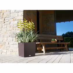 LECHUZA CUBE Cottage 40 All-in-One Set Intérieur & extérieur Kit de plantation en pot Autonome Polypropylène (PP) Marron - Vue supplémentaire 4