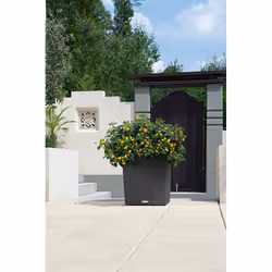 LECHUZA CUBE Cottage 40 All-in-One Set Intérieur & extérieur Kit de plantation en pot Autonome Polypropylène (PP) Marron - Vue supplémentaire 7