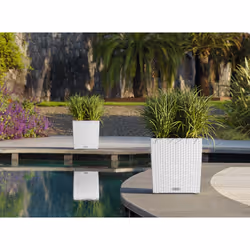 LECHUZA CUBE Cottage 40 All-in-One Set Intérieur & extérieur Kit de plantation en pot Autonome Polypropylène (PP) Marron - Vue supplémentaire 8