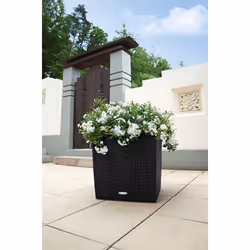 LECHUZA CUBE Cottage 50 All-in-One Set Intérieur & extérieur Kit de plantation en pot Autonome Polypropylène (PP) Marron - Vue supplémentaire 5