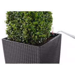 LECHUZA CUBE Cottage 50 All-in-One Set Intérieur & extérieur Kit de plantation en pot Autonome Polypropylène (PP) Marron - Vue supplémentaire 7