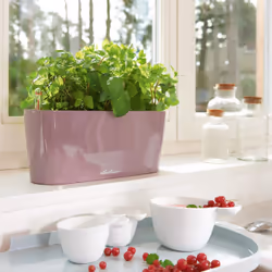 LECHUZA Delta 10 Intérieure Jardinière Autonome Polypropylène (PP) Anthracite - Vue supplémentaire 5