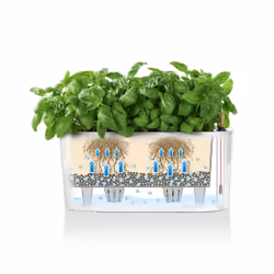 LECHUZA Delta 10 Intérieure Jardinière Autonome Polypropylène (PP) Anthracite - Vue supplémentaire 7