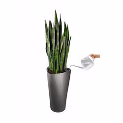 LECHUZA DELTA 40 Intérieure Kit de plantation en pot Autonome Polypropylène (PP) Métallique