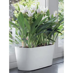 Jardinière - LECHUZA - Delta 20 - Blanc brillant - Rectangulaire - Avec réserve deau