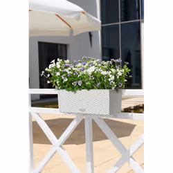 LECHUZA BALCONERA Cottage 50 Extérieure Jardinière Mural Polypropylène (PP) Blanc