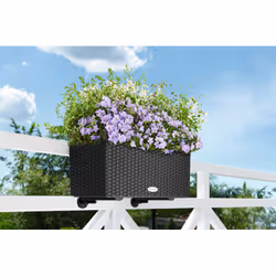 LECHUZA BALCONERA Cottage 50 Extérieure Jardinière Mural Polypropylène (PP) Blanc - Vue supplémentaire 9