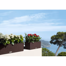 LECHUZA BALCONERA Cottage 50 Extérieure Jardinière Mural Polypropylène (PP) Gris - Vue supplémentaire 10