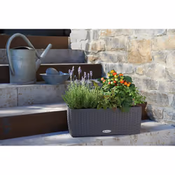 LECHUZA BALCONERA Cottage 50 Extérieure Jardinière Mural Polypropylène (PP) Gris - Vue supplémentaire 4