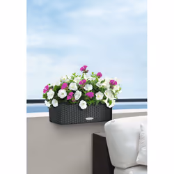 LECHUZA BALCONERA Cottage 50 Extérieure Jardinière Mural Polypropylène (PP) Gris - Vue supplémentaire 5