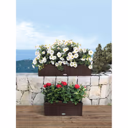 LECHUZA BALCONERA Cottage 50 Extérieure Jardinière Mural Polypropylène (PP) Marron - Vue supplémentaire 9