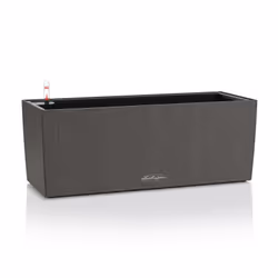 LECHUZA BALCONERA, Kit de plantation en pot, Autonome, Polypropylène (PP), Graphite, Rectangle, Intérieur & extérieur