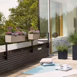 LECHUZA BALCONERA Intérieur & extérieur Kit de plantation en pot Autonome Polypropylène (PP) Gris
